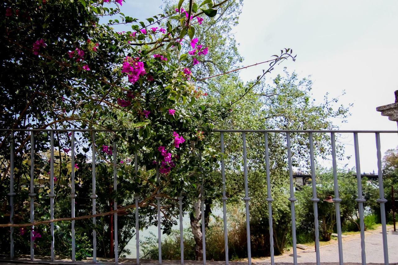Misterhost Triana Patio de las Flores Sevilla Exterior foto